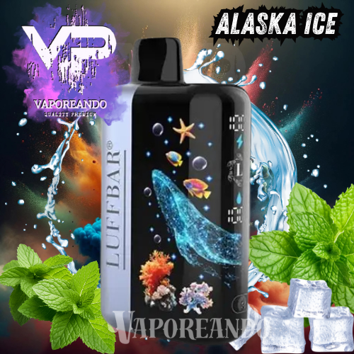 LUFFBAR 55000 PUFFS