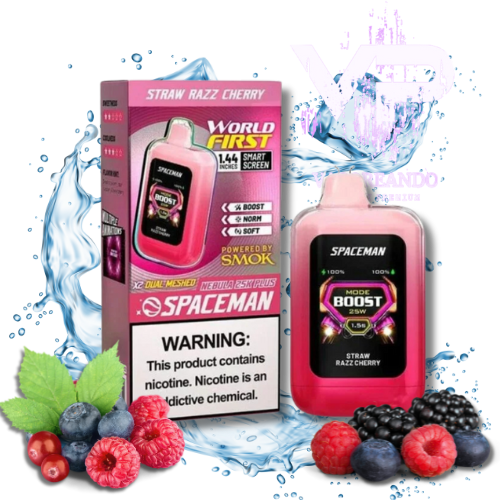 SPACEMAN 25000 Puff