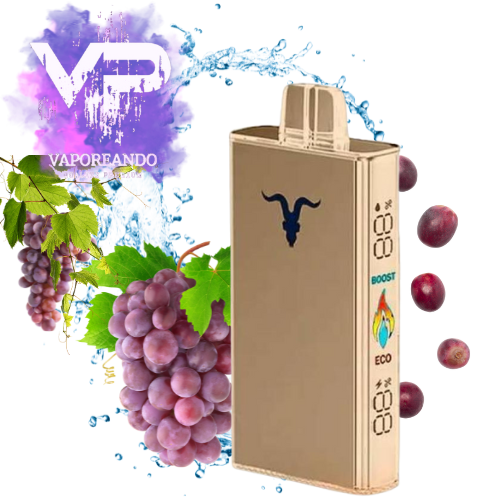 IGNITE v250 25000 PUFF