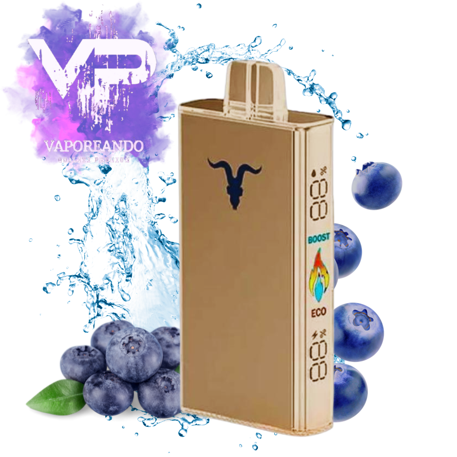 IGNITE v250 25000 PUFF