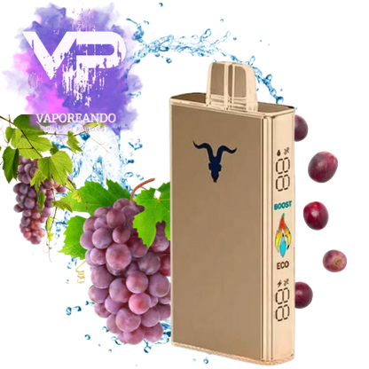 IGNITE v250 25000 PUFF