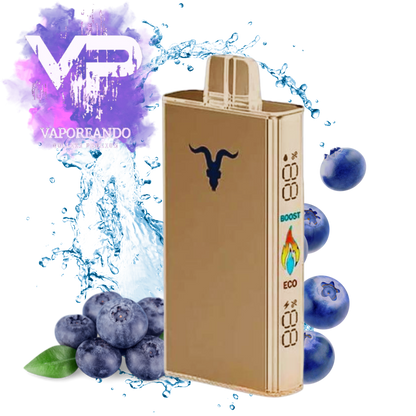 IGNITE v250 25000 PUFF
