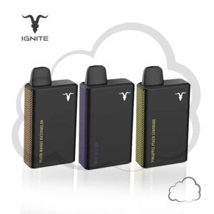 IGNITE 4000 PUFF